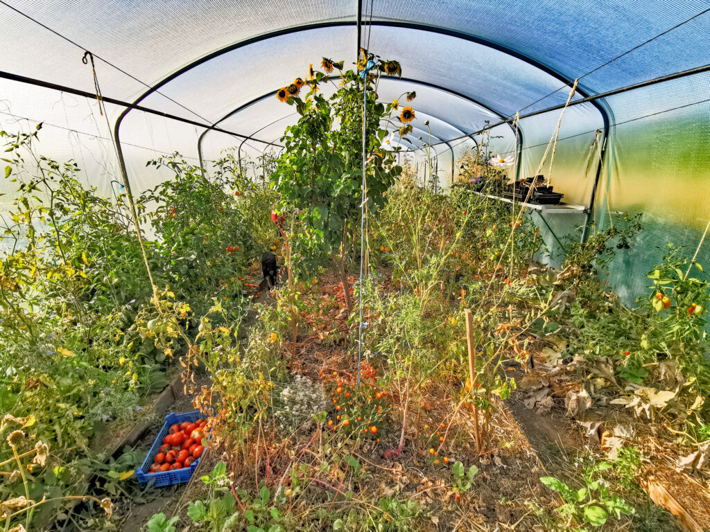 potager en permaculture